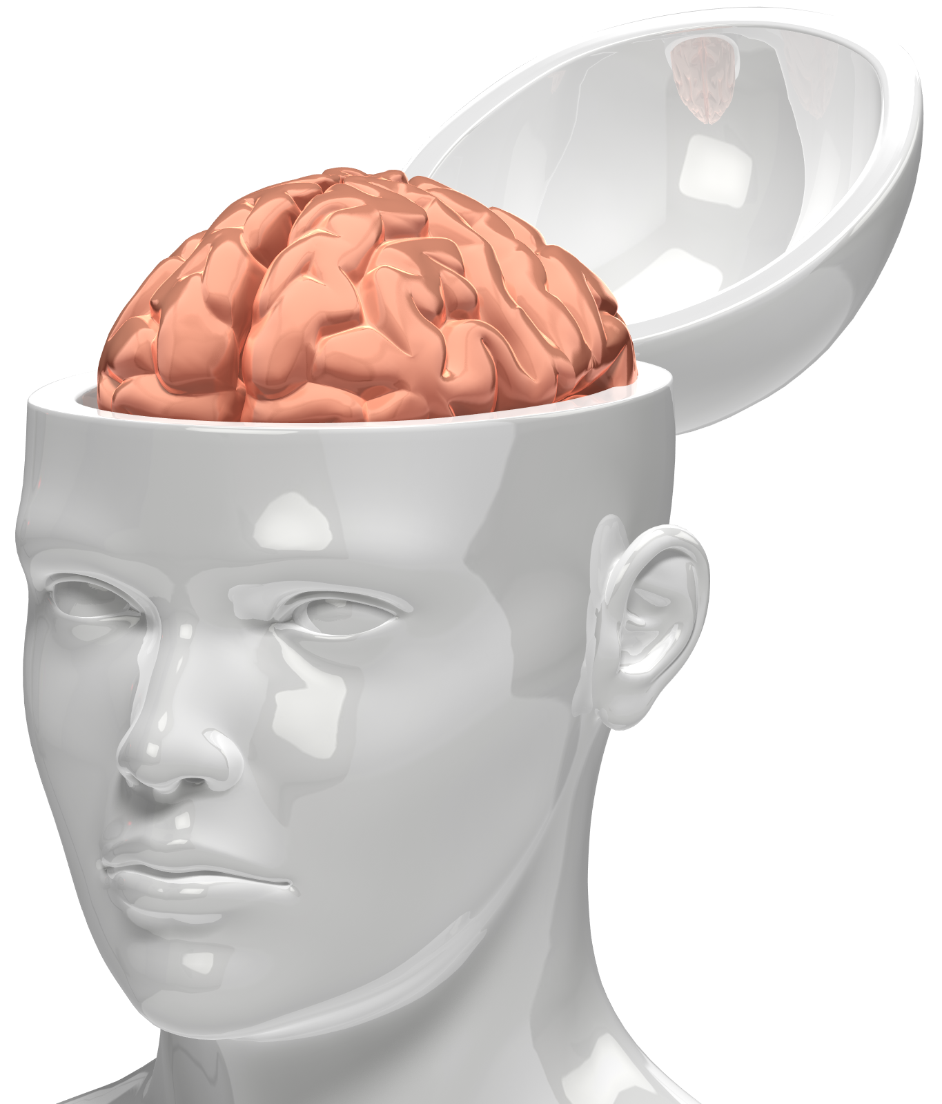 Brain Diagram